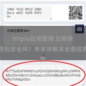 Bitpie在线管理 比特派钱包安全吗？专家详解其全面优势