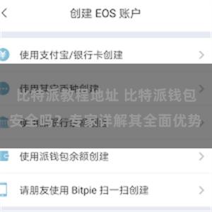 比特派教程地址 比特派钱包安全吗？专家详解其全面优势