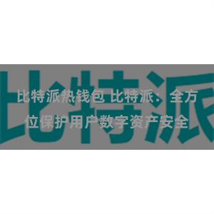 比特派热钱包 比特派：全方位保护用户数字资产安全