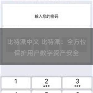 比特派中文 比特派：全方位保护用户数字资产安全