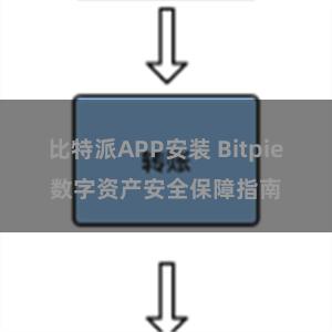 比特派APP安装 Bitpie数字资产安全保障指南