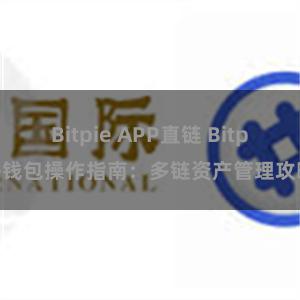 Bitpie APP直链 Bitpie钱包操作指南：多链资产管理攻略