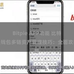 Bitpie APP功能 比特派钱包多链资产管理技巧：全面攻略