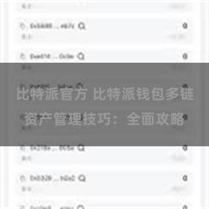 比特派官方 比特派钱包多链资产管理技巧：全面攻略