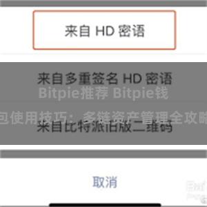 Bitpie推荐 Bitpie钱包使用技巧：多链资产管理全攻略