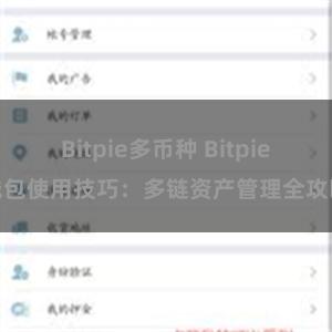 Bitpie多币种 Bitpie钱包使用技巧：多链资产管理全攻略