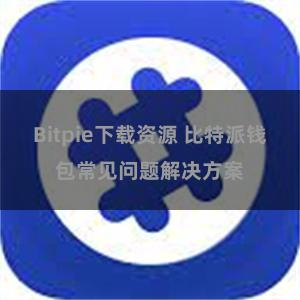 Bitpie下载资源 比特派钱包常见问题解决方案