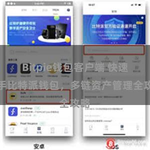 Bitpie钱包客户端 快速上手比特派钱包，多链资产管理全攻略