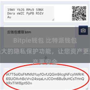 Bitpie钱包 比特派钱包：强大的隐私保护功能，让您资产更安全