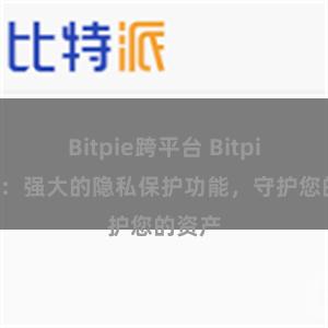 Bitpie跨平台 Bitpie钱包：强大的隐私保护功能，守护您的资产