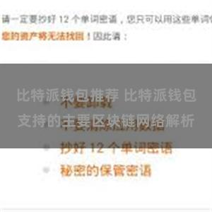 比特派钱包推荐 比特派钱包支持的主要区块链网络解析