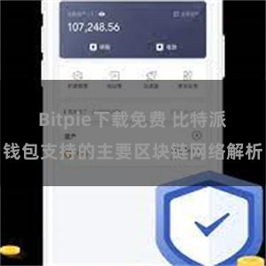 Bitpie下载免费 比特派钱包支持的主要区块链网络解析