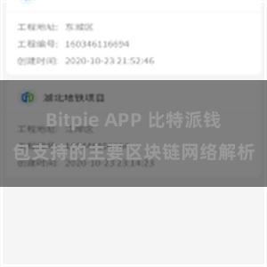 Bitpie APP 比特派钱包支持的主要区块链网络解析