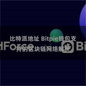 比特派地址 Bitpie钱包支持的区块链网络解析