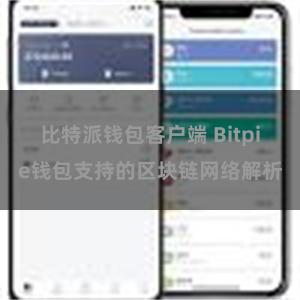 比特派钱包客户端 Bitpie钱包支持的区块链网络解析