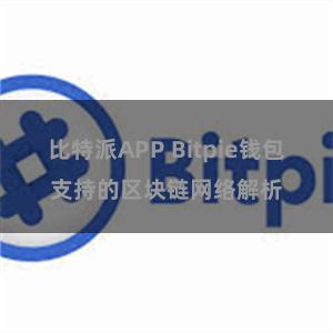 比特派APP Bitpie钱包支持的区块链网络解析