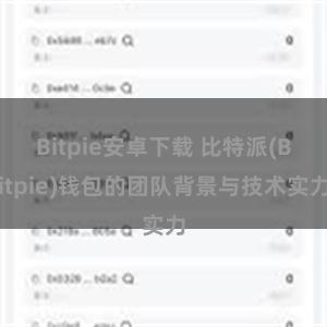 Bitpie安卓下载 比特派(Bitpie)钱包的团队背景与技术实力