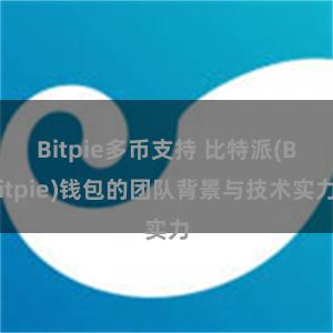 Bitpie多币支持 比特派(Bitpie)钱包的团队背景与技术实力