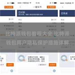 比特派钱包教程大全 比特派钱包用户隐私保护措施详解