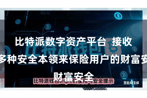 比特派数字资产平台  接收了多种安全本领来保险用户的财富安全